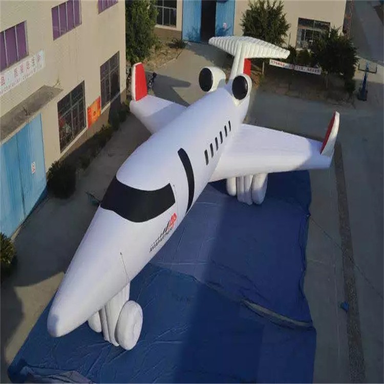 隆阳充气模型飞机